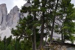 Wakacyjny wyjazd młodzieży w Dolomity :: © Parafia Wygnanowice