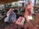 Boże Narodzenie 2021 r. :: © Parafia Wygnanowice 